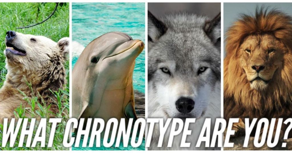 돌고래, 곰, 사자 그리고&nbsp;늑대