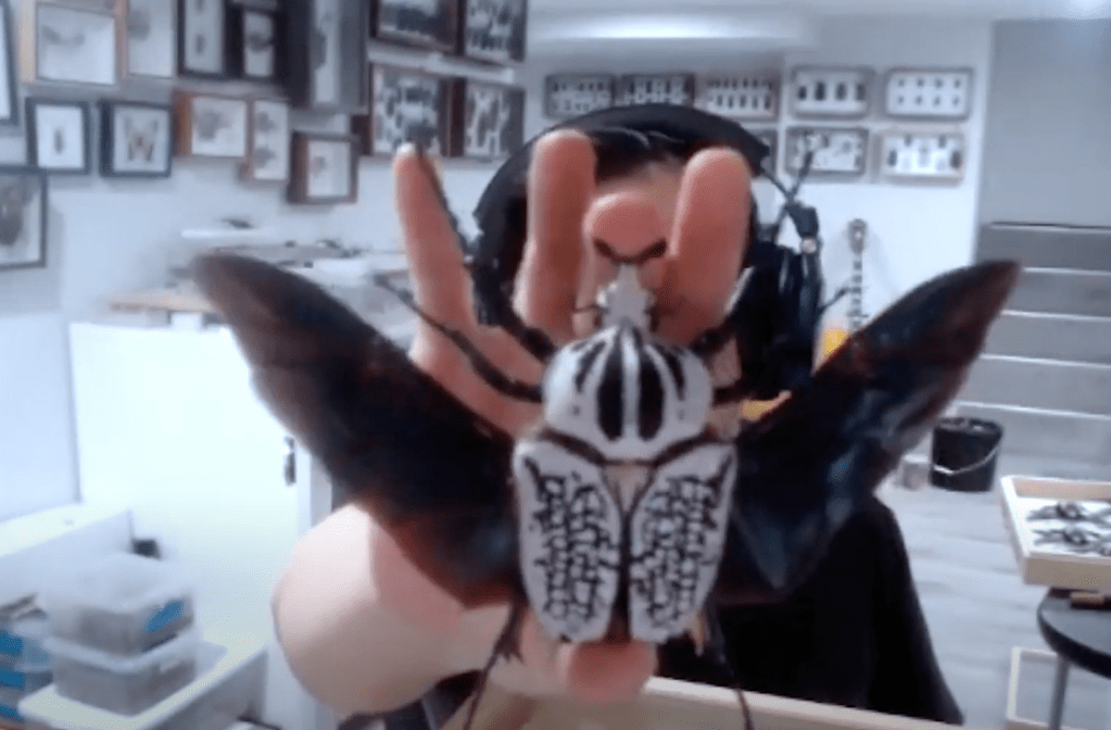 본격 λ²λ μ ν¬λΈ μ!!